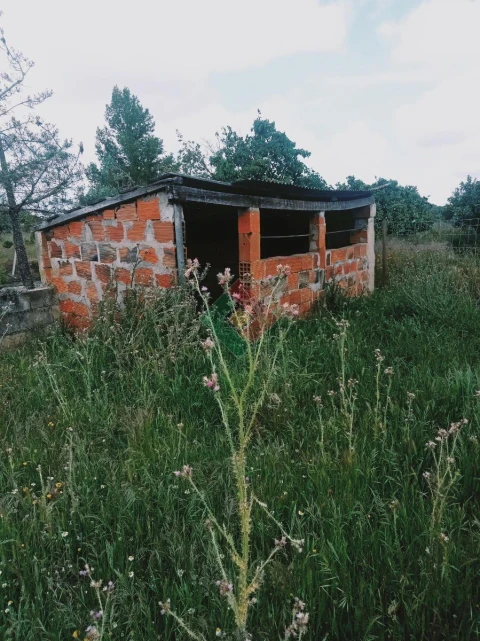 Terreno Agricola ou Rústico para Venda em Foros de Arrão