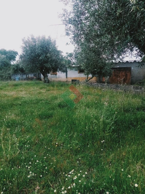 Terreno Agricola ou Rústico para Venda em Foros de Arrão