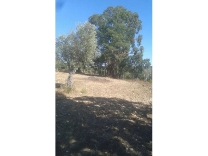 Terreno Agricola ou Rústico para Venda em Foros de Arrão Foto 3