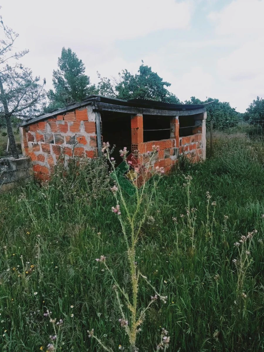 Terreno Agricola ou Rústico para Venda em Foros de Arrão Foto 29