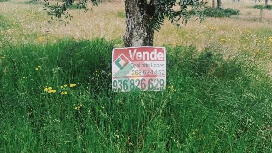 Terreno Agricola ou Rústico para Venda em Foros de Arrão