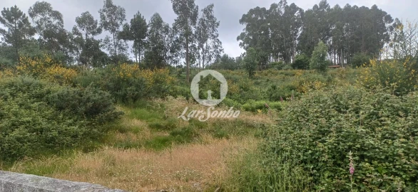 Terreno Agricola ou Rústico para Venda em Carvalhosa