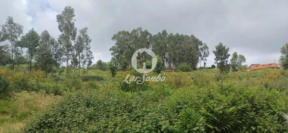 Terreno Agricola ou Rústico para Venda em Carvalhosa