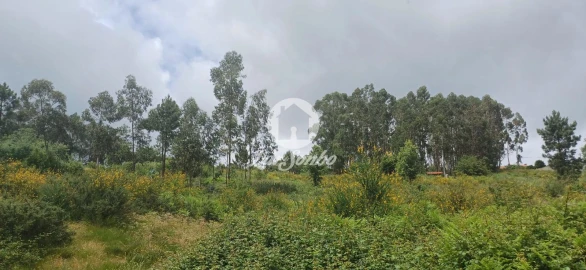 Terreno Agricola ou Rústico para Venda em Carvalhosa