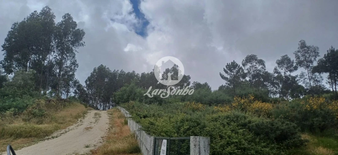 Terreno Agricola ou Rústico para Venda em Carvalhosa Foto 3