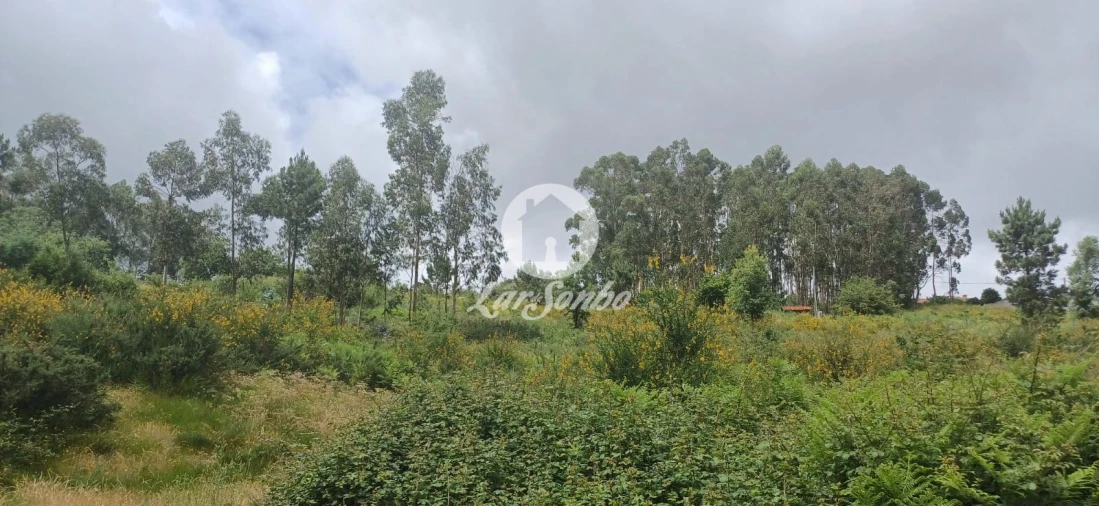 Terreno Agricola ou Rústico para Venda em Carvalhosa Foto 5