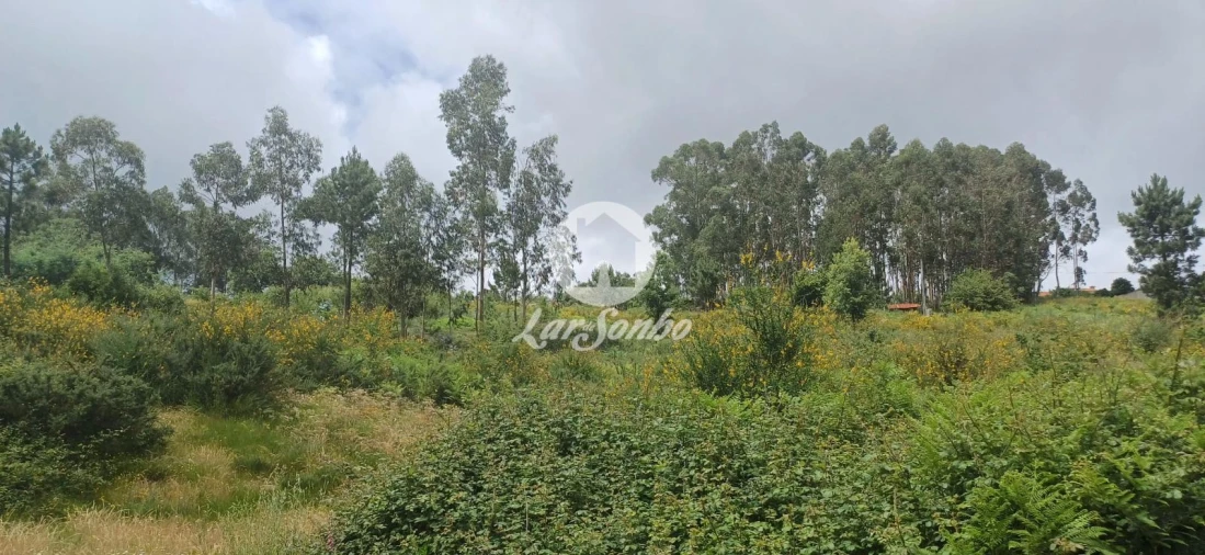 Terreno Agricola ou Rústico para Venda em Carvalhosa Foto 6
