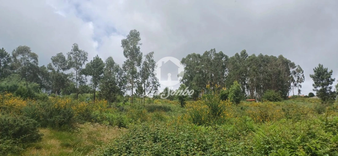 Terreno Agricola ou Rústico para Venda em Carvalhosa Foto 9