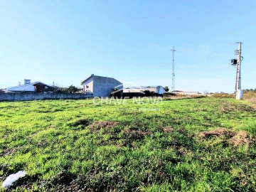 Terreno para Venda em Anta e Guetim