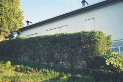 Moradia T5 para Venda em Fornos