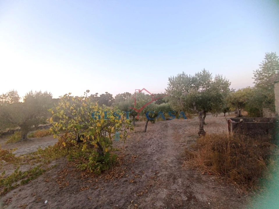 Terreno Agricola ou Rústico para Venda em Alcains Foto 4
