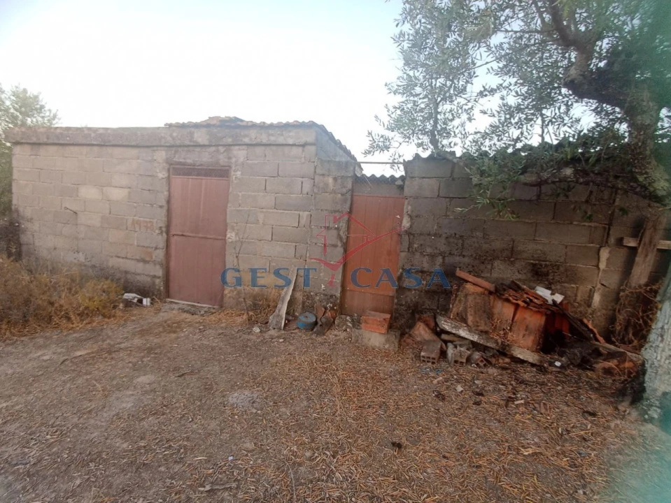 Terreno Agricola ou Rústico para Venda em Alcains Foto 3