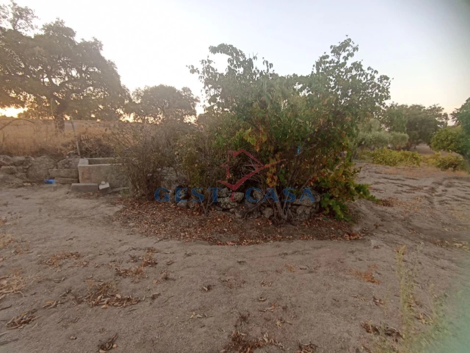 Terreno Agricola ou Rústico para Venda em Alcains Foto 10