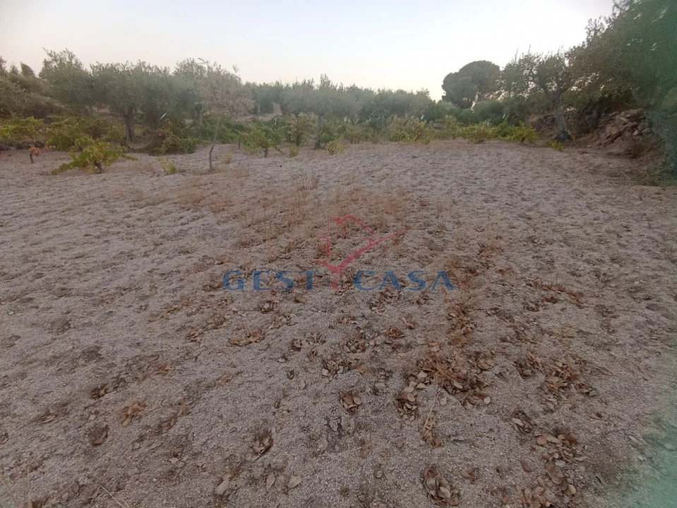 Terreno Agricola ou Rústico para Venda em Alcains Foto 15