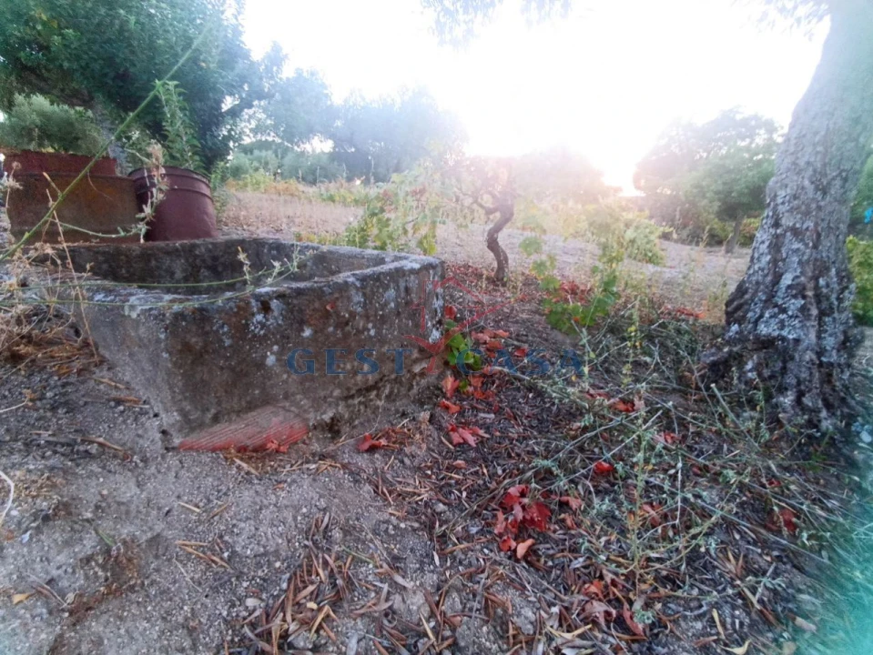 Terreno Agricola ou Rústico para Venda em Alcains Foto 1