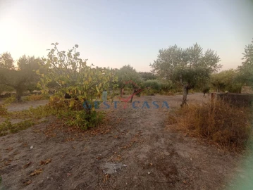 Terreno Agricola ou Rústico para Venda em Alcains