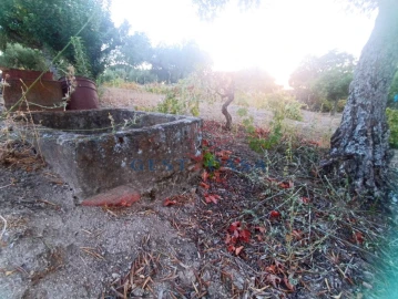 Terreno Agricola ou Rústico para Venda em Alcains