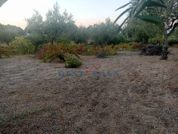 Terreno Agricola ou Rústico para Venda em Alcains