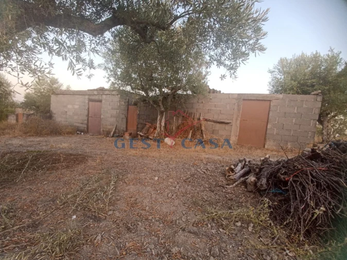 Terreno Agricola ou Rústico para Venda em Alcains Foto 2