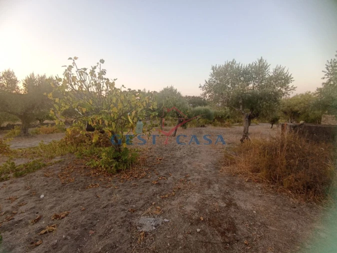 Terreno Agricola ou Rústico para Venda em Alcains Foto 7