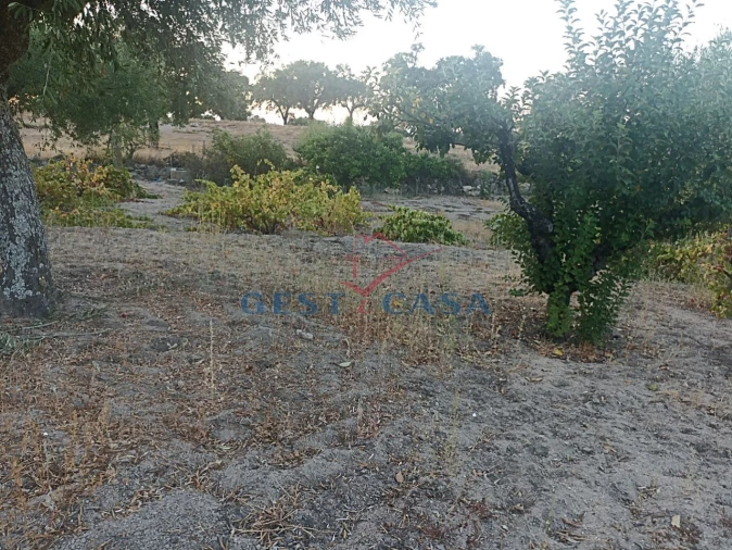 Terreno Agricola ou Rústico para Venda em Alcains Foto 9