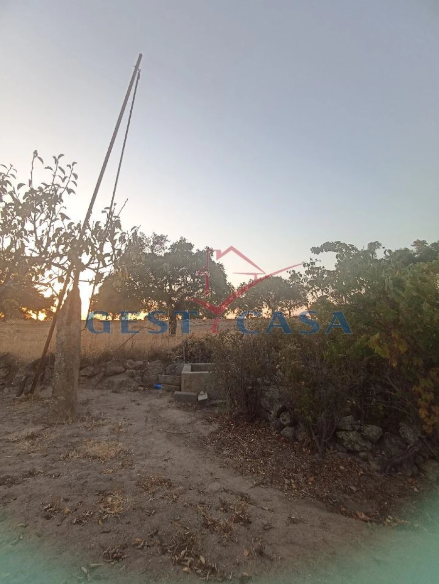 Terreno Agricola ou Rústico para Venda em Alcains Foto 11