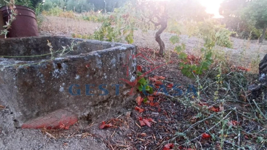 Terreno Agricola ou Rústico para Venda em Alcains