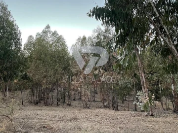 Terreno P/ Prédio para Venda em Alcains