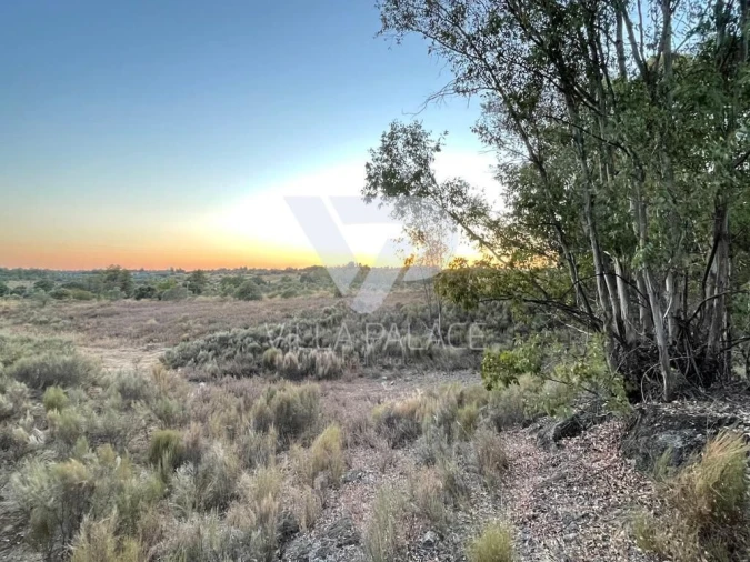 Terreno P/ Prédio para Venda em Alcains