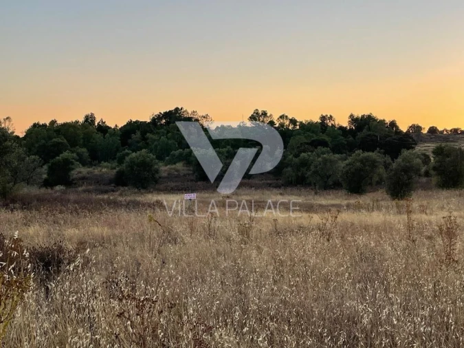 Terreno P/ Prédio para Venda em Alcains Foto 2