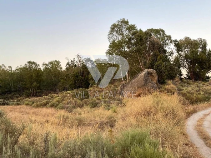 Terreno P/ Prédio para Venda em Alcains Foto 5