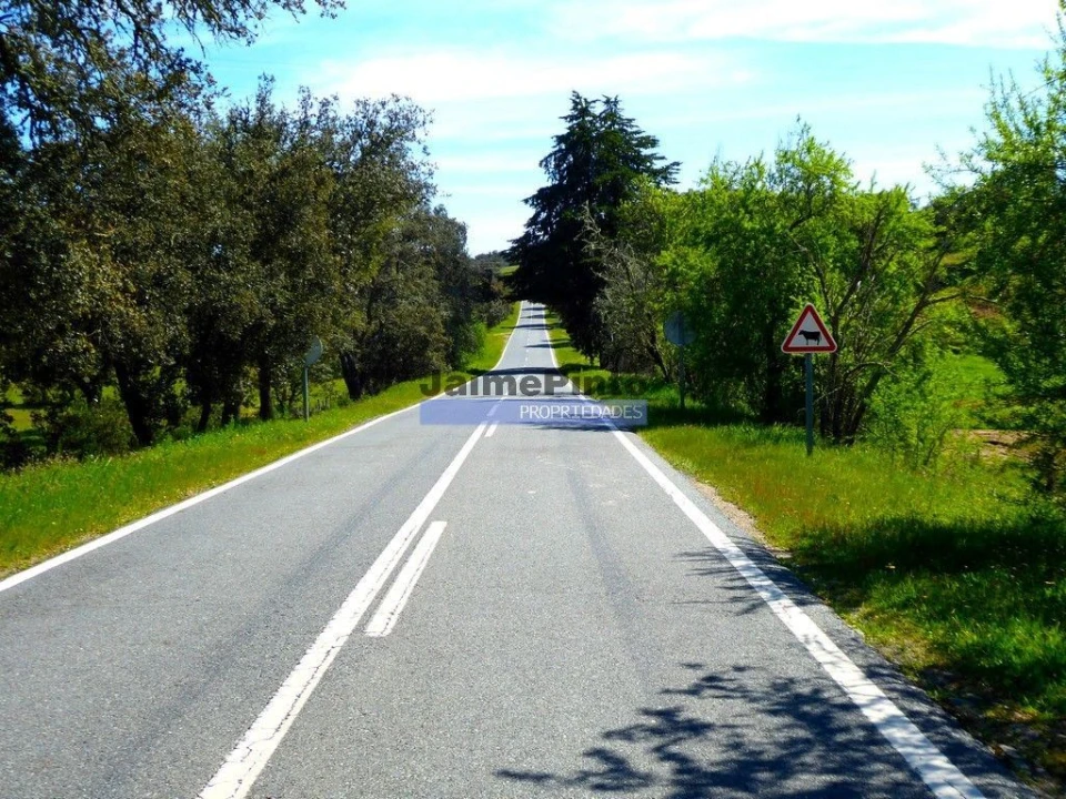Terreno Agricola ou Rústico para Venda em Aldeia dos Fernandes Foto 9