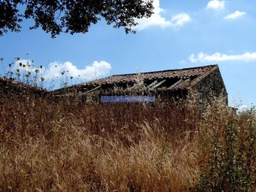 Terreno Agricola ou Rústico para Venda em Aldeia dos Fernandes