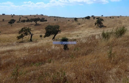 Terreno Agricola ou Rústico para Venda em Aldeia dos Fernandes
