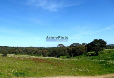Terreno Agricola ou Rústico para Venda em Aldeia dos Fernandes