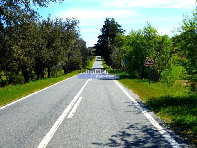 Terreno Agricola ou Rústico para Venda em Aldeia dos Fernandes Foto 9