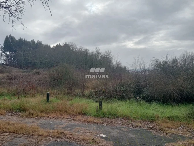 Terreno para Venda em Paço Foto 7