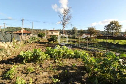 Terreno para Venda em Ribeiros
