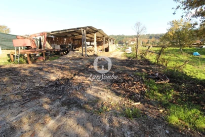 Terreno para Venda em Ribeiros