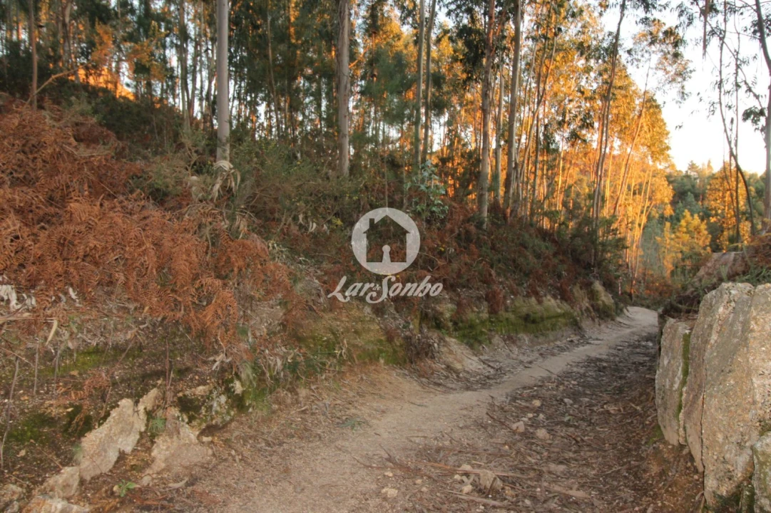 Terreno Agricola ou Rústico para Venda em Antime e Silvares (São Clemente) Foto 14