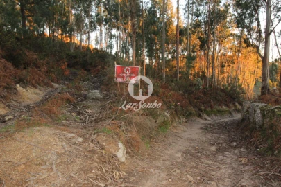 Terreno Agricola ou Rústico para Venda em Antime e Silvares (São Clemente)