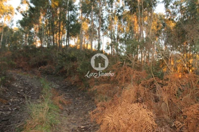 Terreno Agricola ou Rústico para Venda em Antime e Silvares (São Clemente)