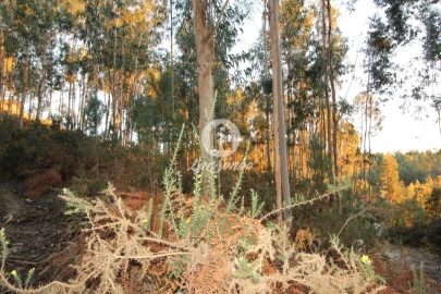 Terreno Agricola ou Rústico para Venda em Antime e Silvares (São Clemente)
