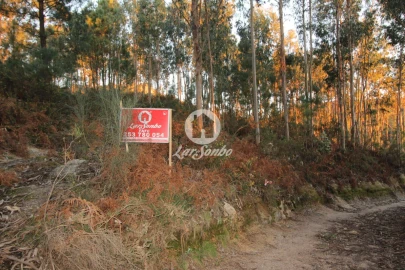 Terreno Agricola ou Rústico para Venda em Antime e Silvares (São Clemente)