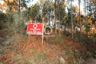 Terreno Agricola ou Rústico para Venda em Antime e Silvares (São Clemente)
