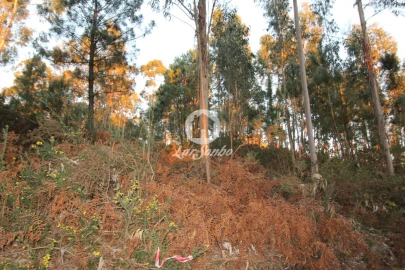 Terreno Agricola ou Rústico para Venda em Antime e Silvares (São Clemente)