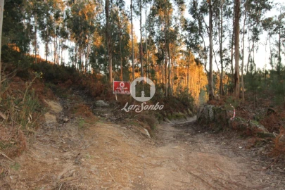 Terreno Agricola ou Rústico para Venda em Antime e Silvares (São Clemente)