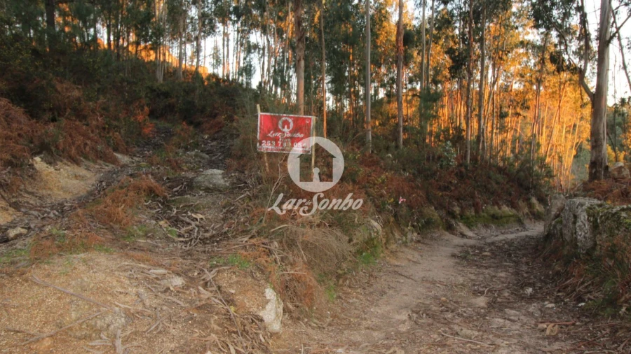 Terreno Agricola ou Rústico para Venda em Antime e Silvares (São Clemente)