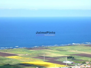 Loja para Venda em Santa Maria Maior e Monserrate e Meadela