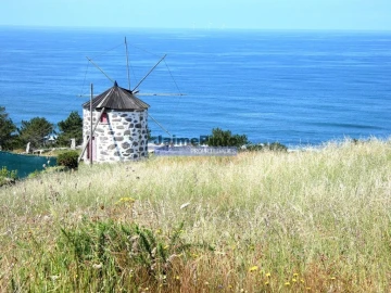 Loja para Venda em Santa Maria Maior e Monserrate e Meadela